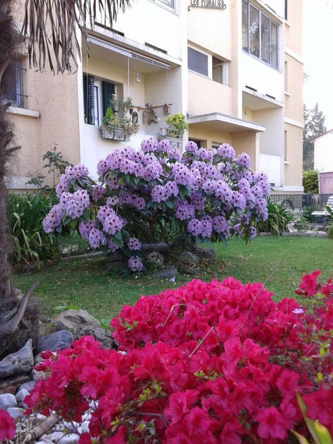 Les Floralies Apartment Pau Exterior foto